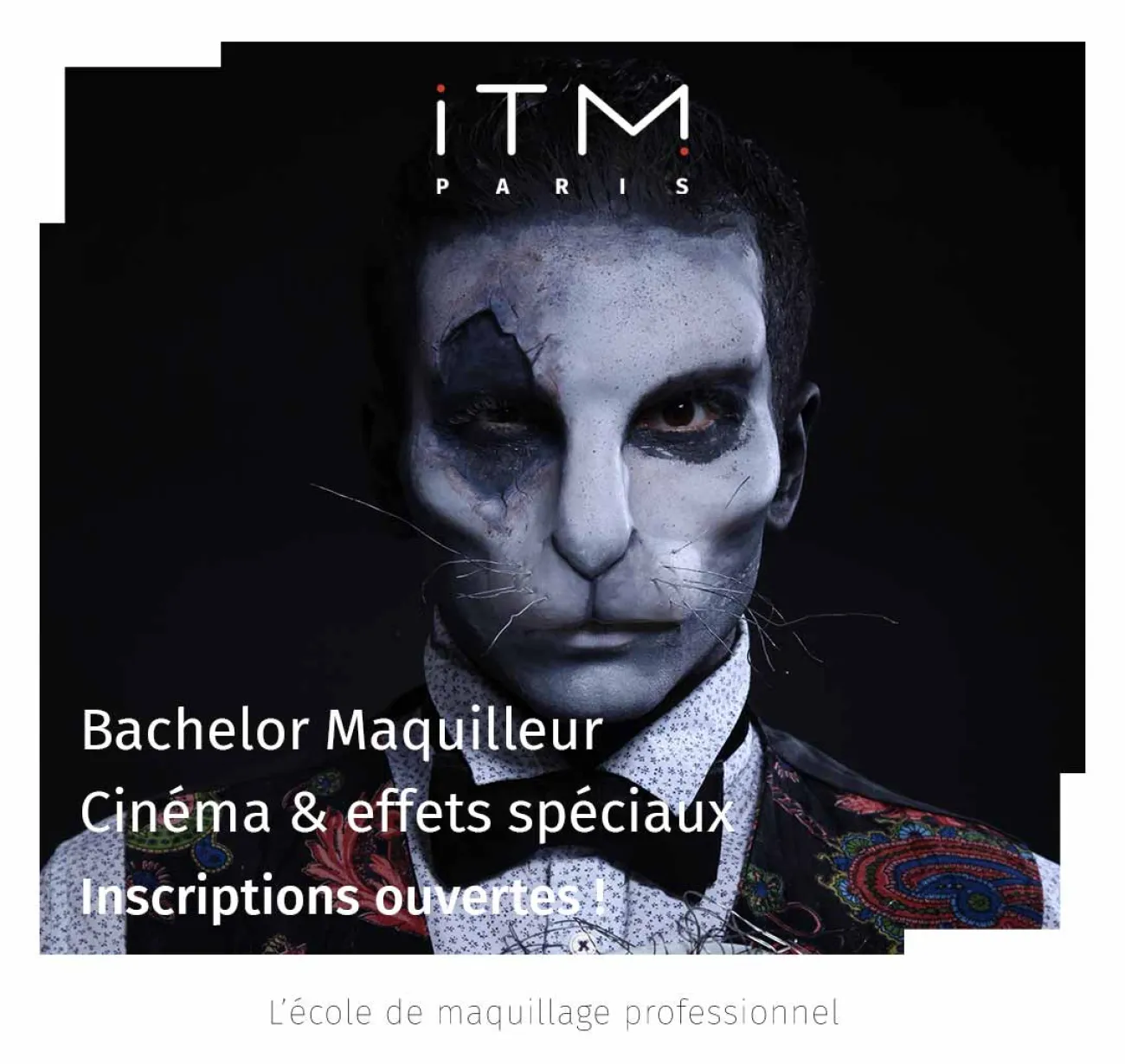Bachelor Maquilleur cinéma & effets spéciaux